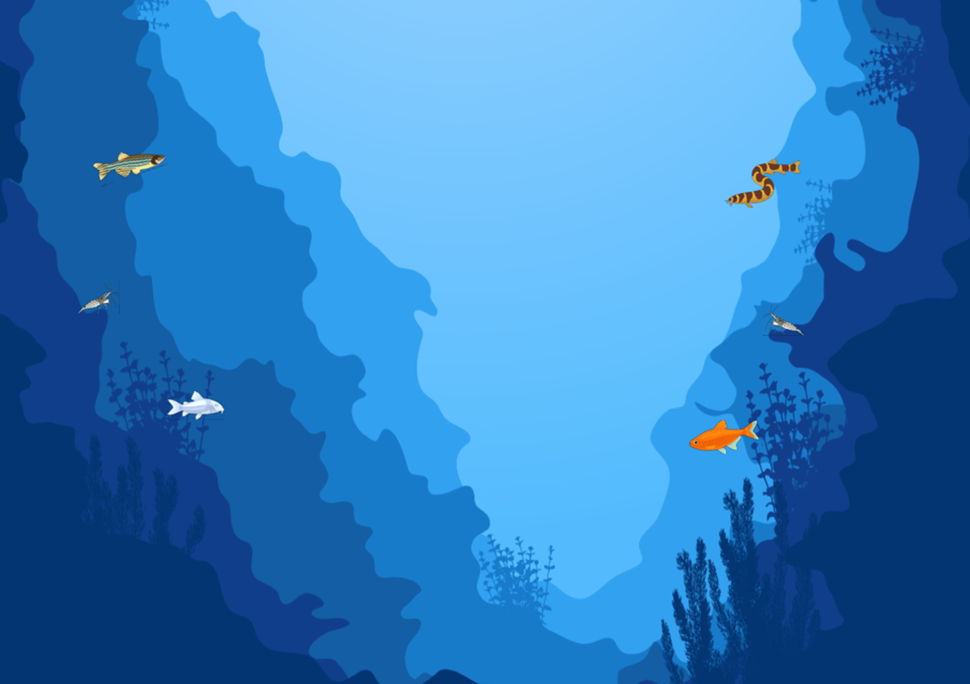 Site Wallpaper